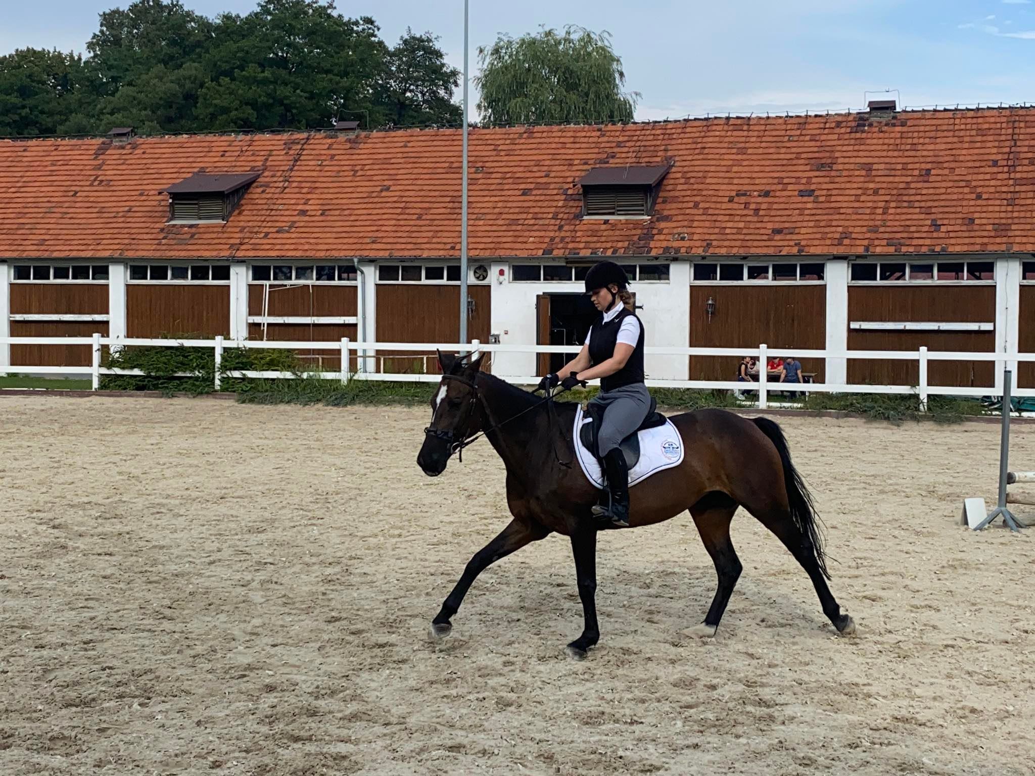 Zbros�awice - kurs je�dziectwa