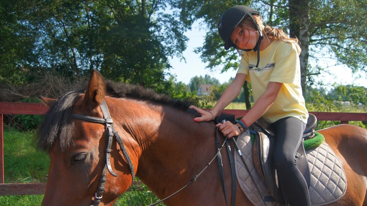 Zbros�awice muzyczno - konny