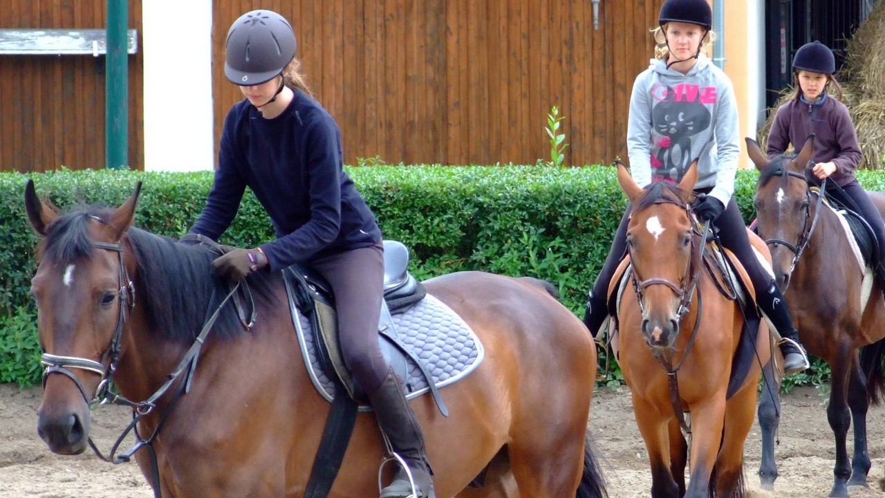 Zbros�awice muzyczno - konny