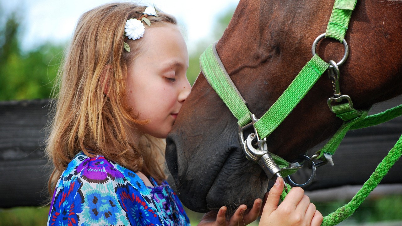 Zbros�awice muzyczno - konny