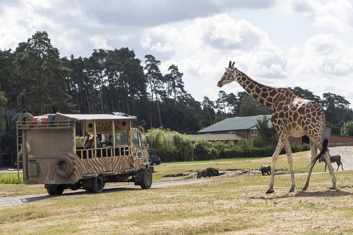 Ko�obrzeg - Sportowy