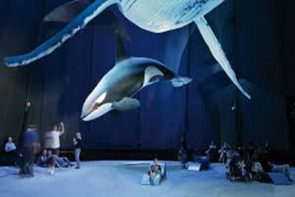 Jaros�awiec - paintball i Archery Tag