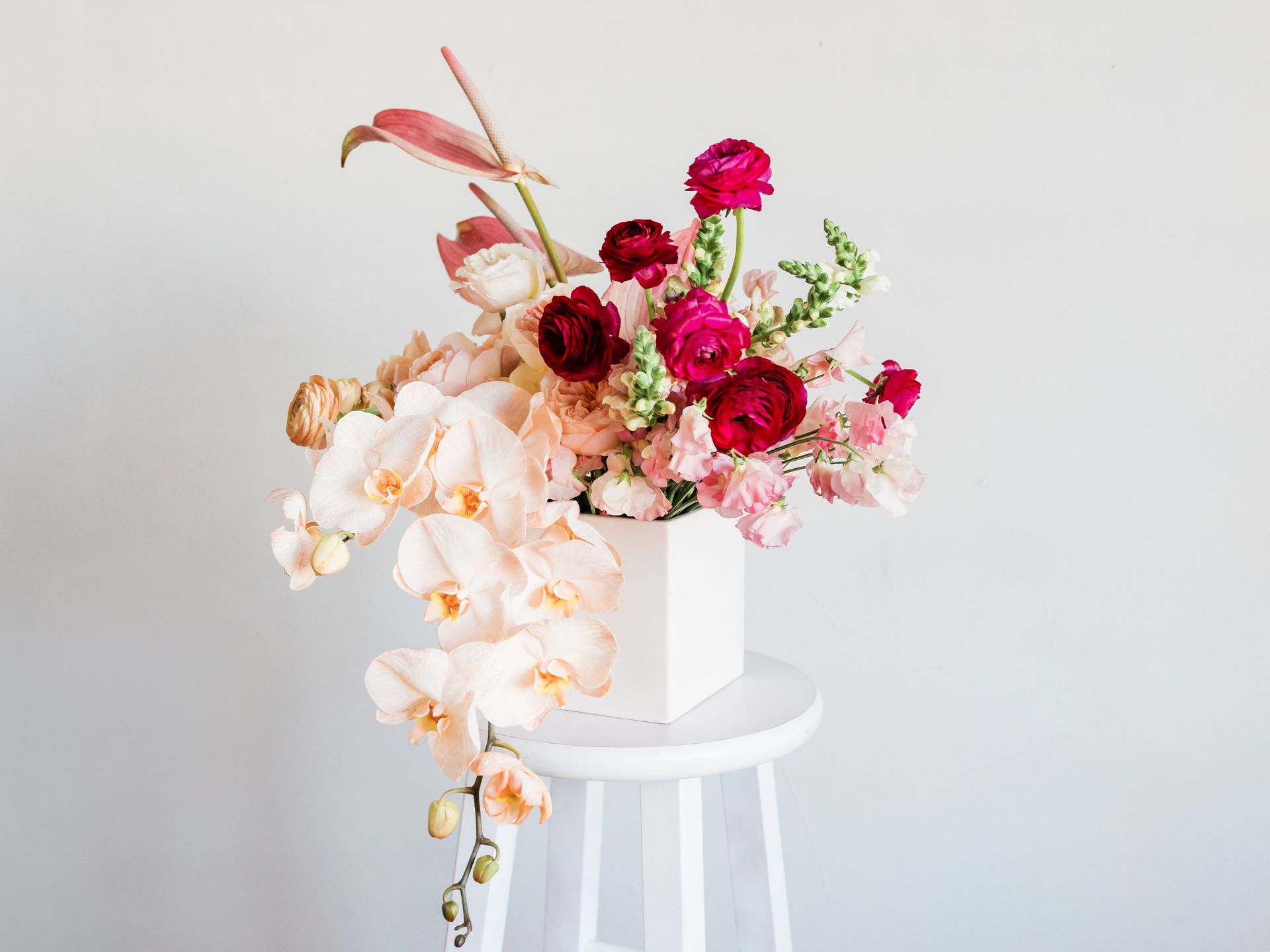 Wicie: Manga Otaku Japonia