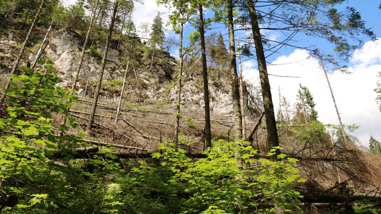 Murzasichle - ob�z Adventure