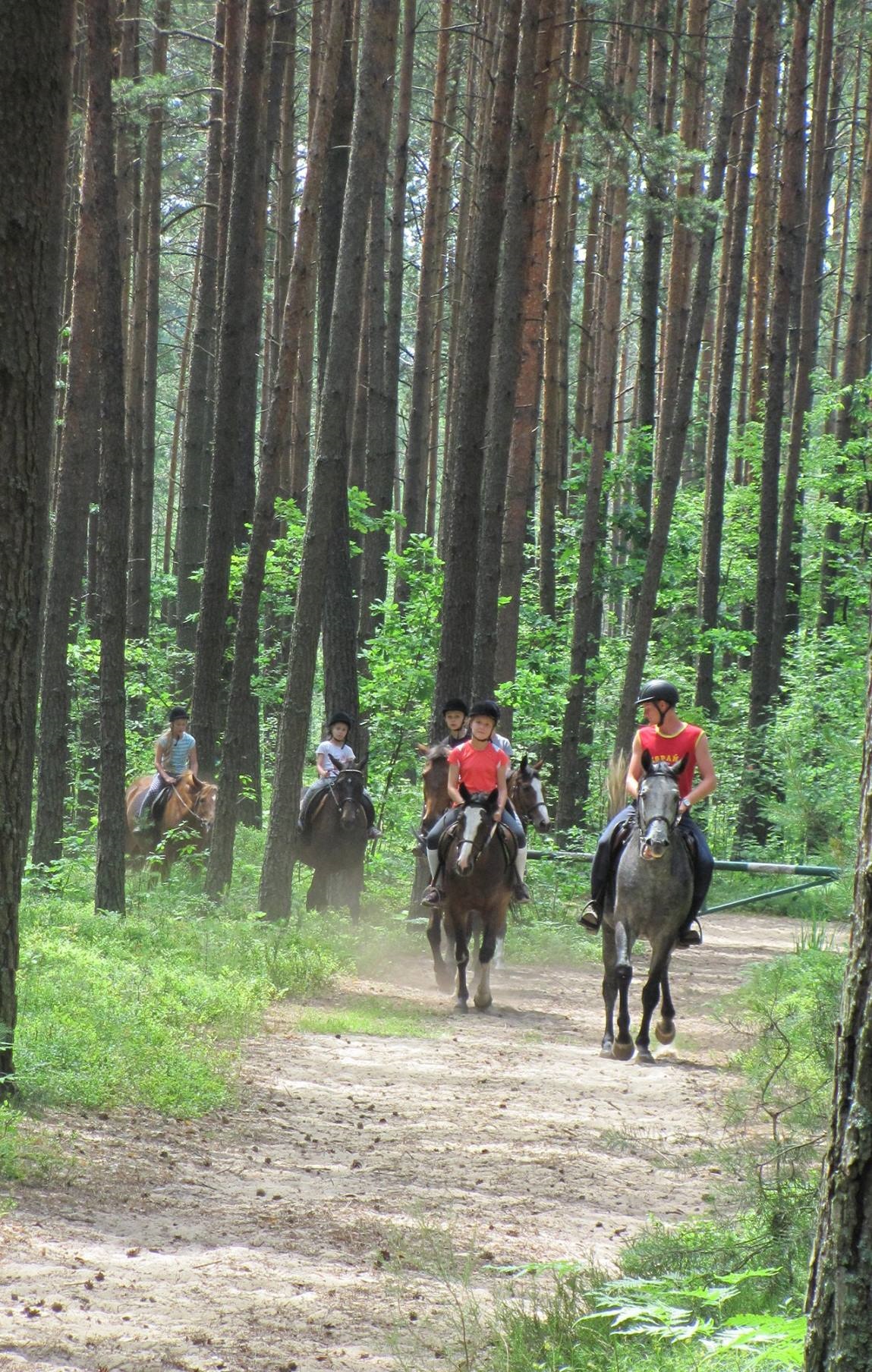 Jan�w Lubelski - ob�z konny