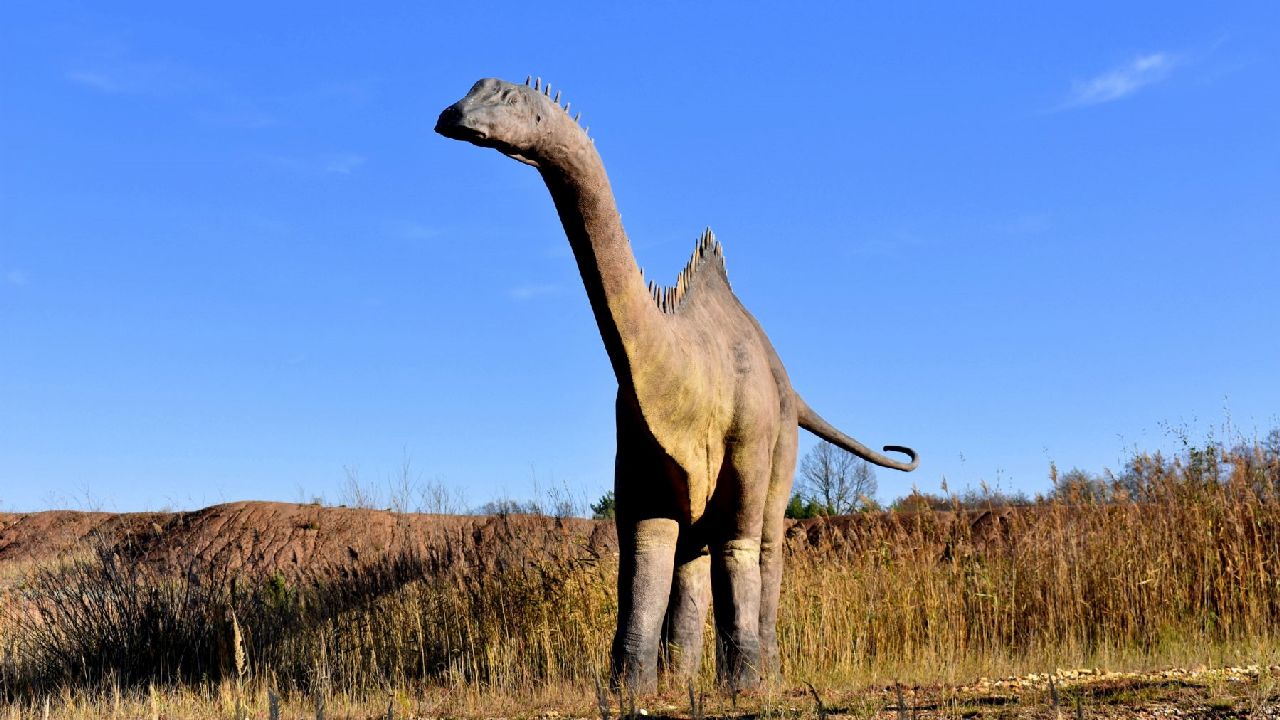 Krasiej�w - Klub Urwisa DinoCamp