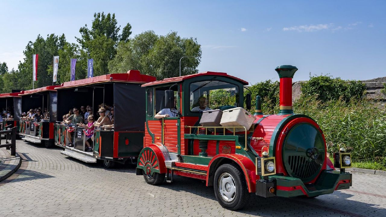 Krasiej�w - Klub Urwisa DinoCamp