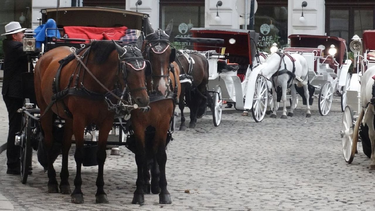 W�gry, S�owacja, Austria, Czechy - Poznajemy stolice Europy - ob�z rekreacja i zwiedzanie