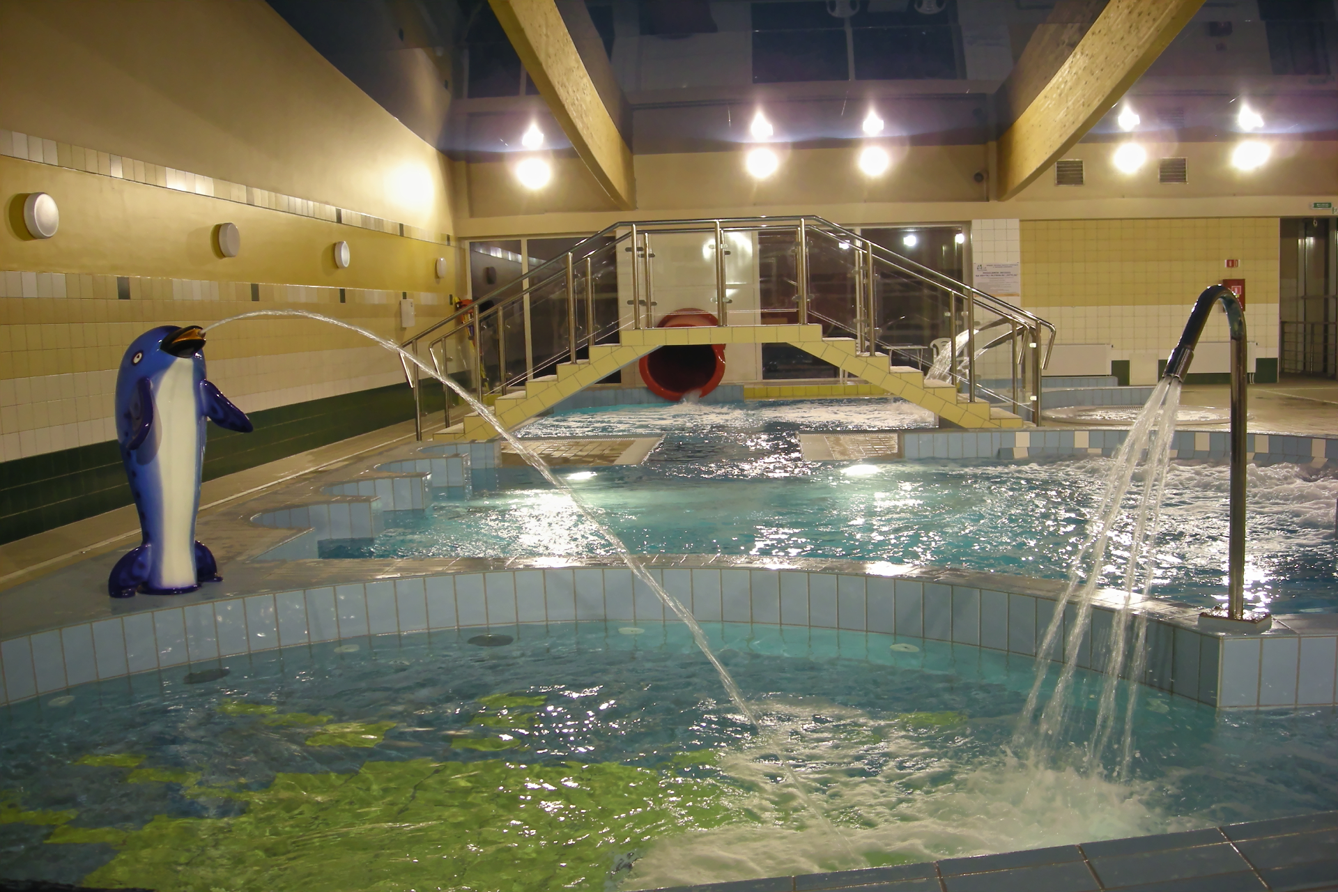 Jan�w Lubelski - ob�z p�ywacki