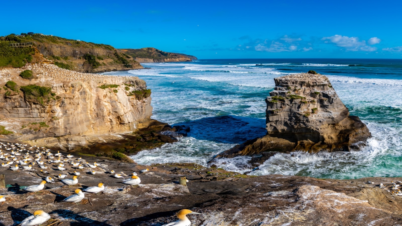Nowa Zelandia, Australia - Po drugiej stronie Ziemi
