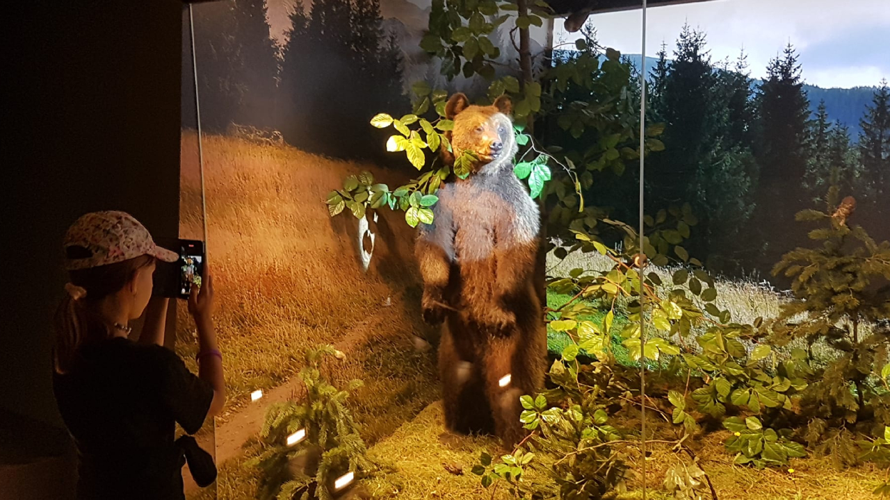 Zakopane - kolonie i ob�z Tatrza�ski Luz