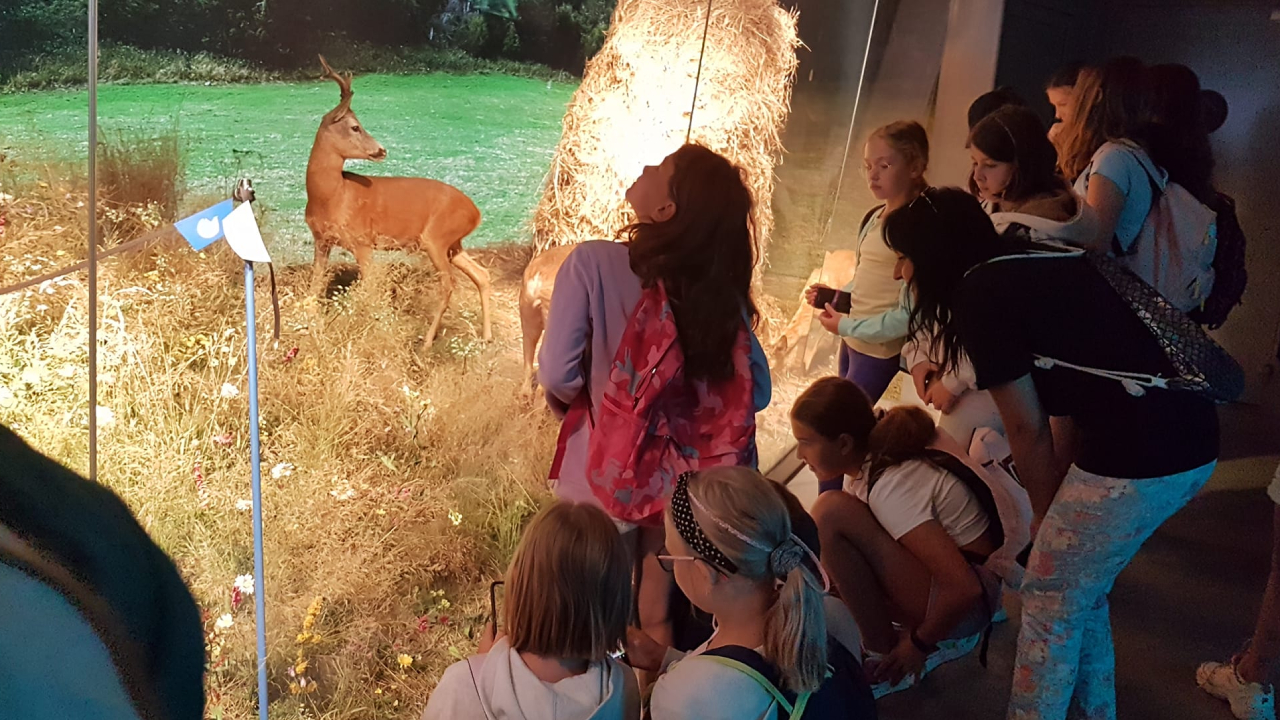 Zakopane - kolonie i ob�z Tatrza�ski Luz