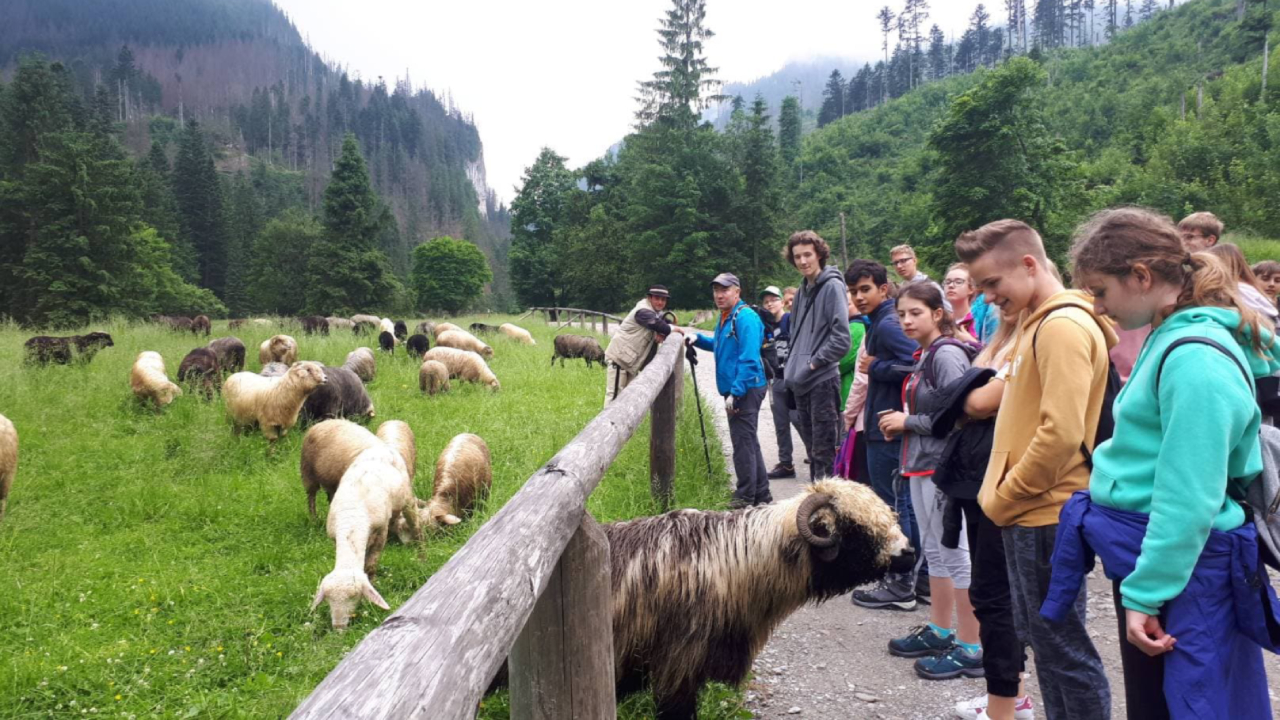 Zakopane - kolonie i ob�z Tatrza�ska Przygoda