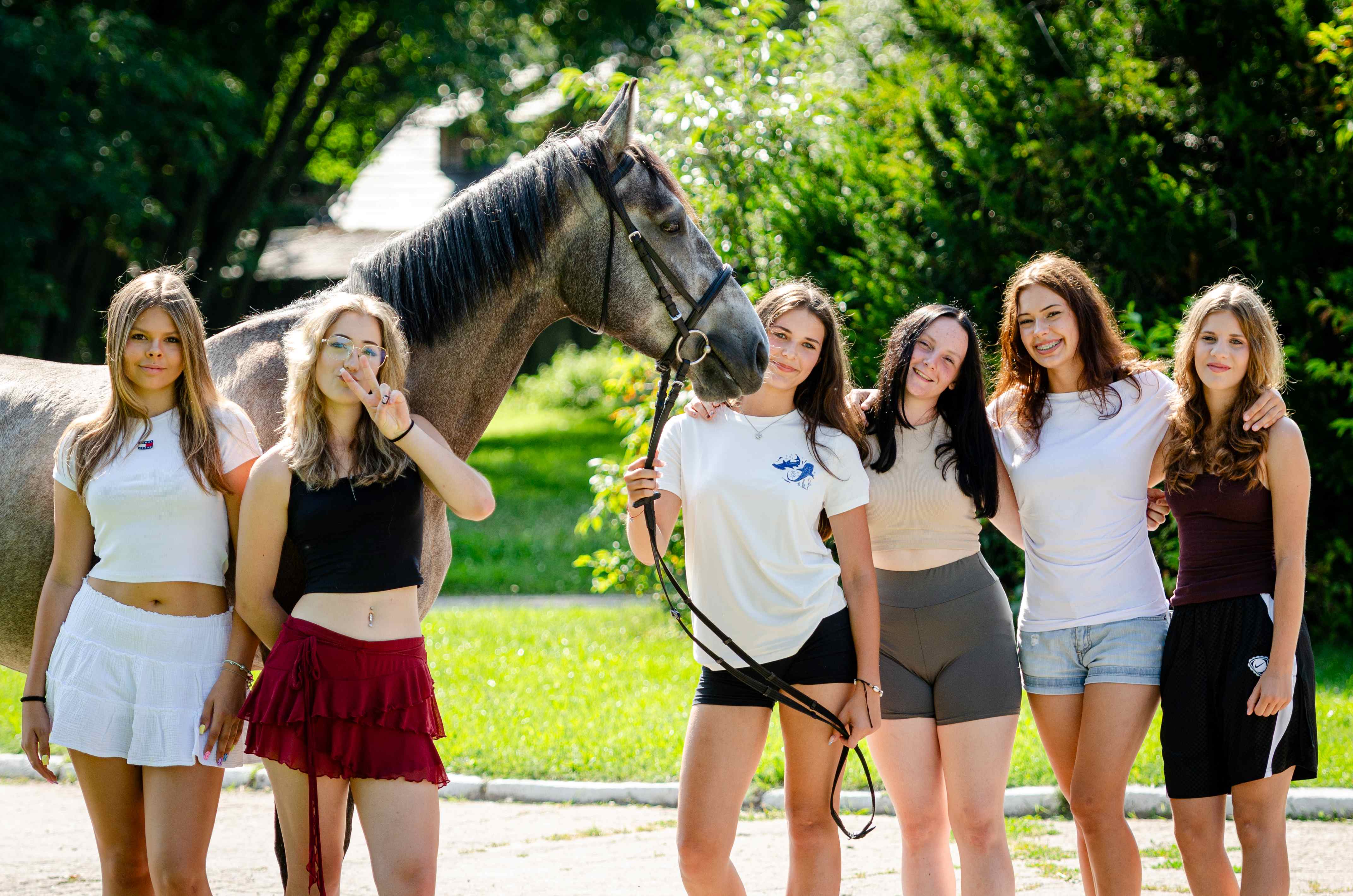 Zbros�awice - ob�z je�dziecki