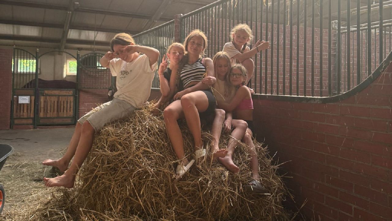 Zakrz�w - ob�z jazdy konnej z p�ywaniem