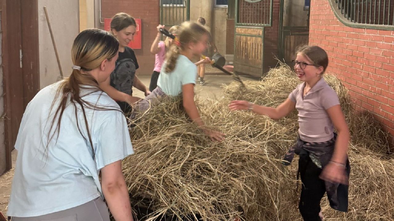 Zakrz�w - kurs je�dziecki