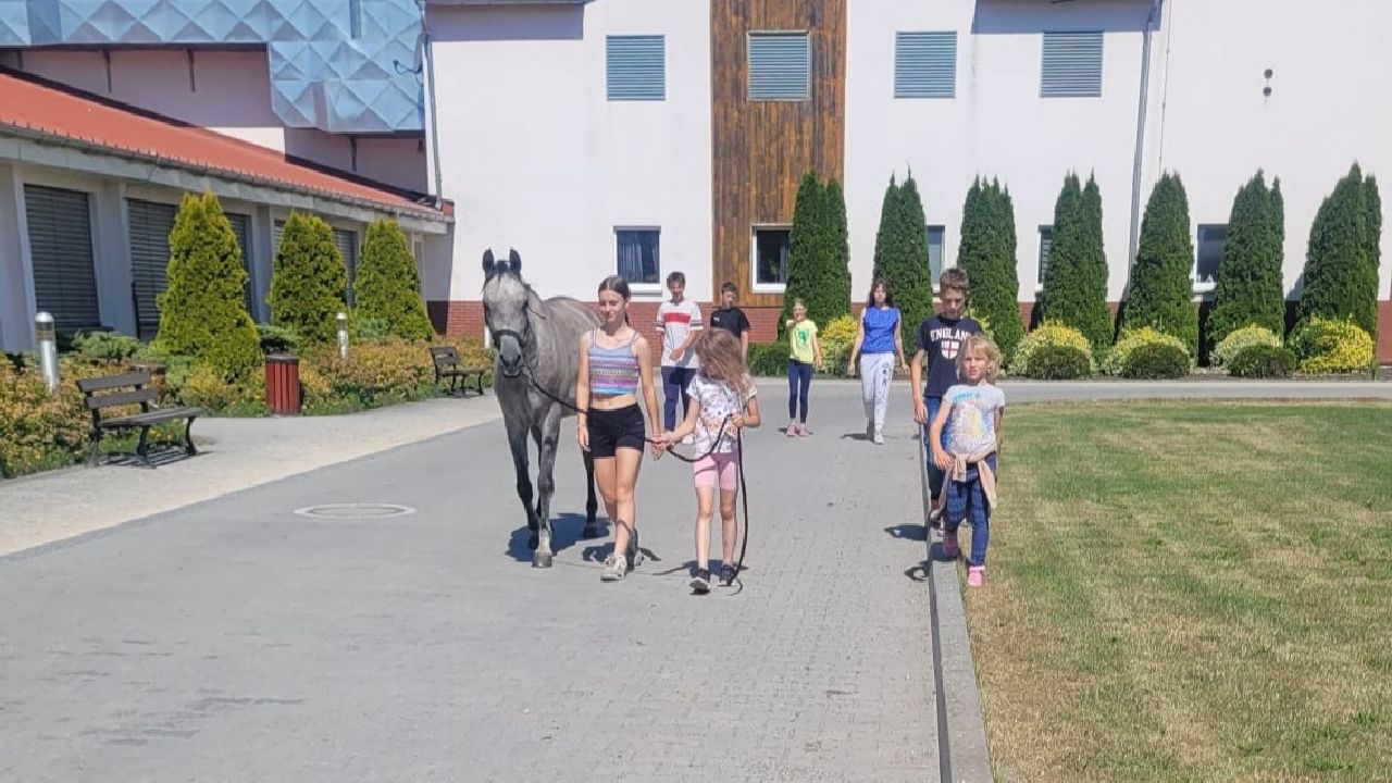 Zakrz�w - ob�z jazdy konnej