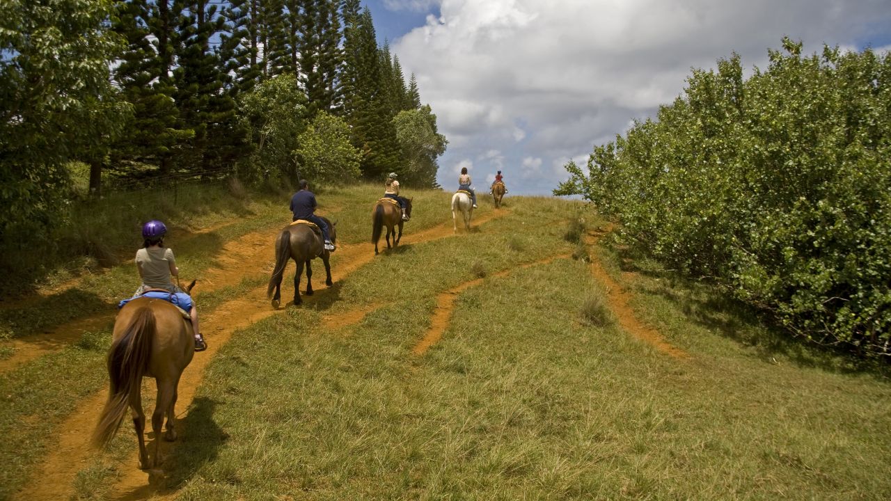 Opolszczyzna Bory Niemodli�skie - m�odzie�owy rajd konny