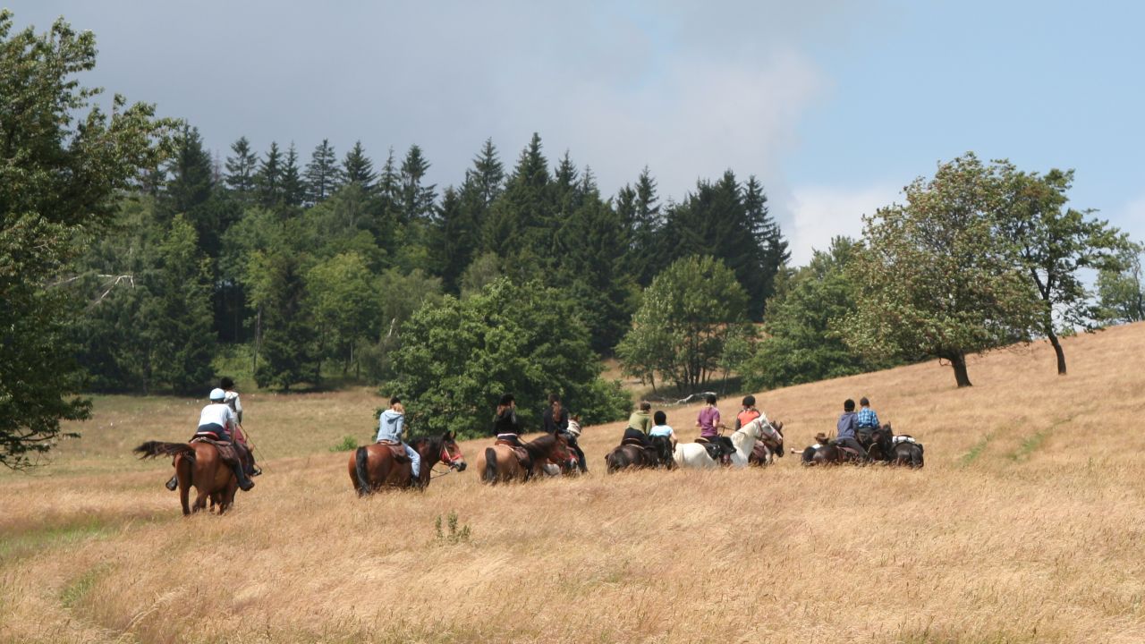 Opolszczyzna Bory Niemodli�skie - m�odzie�owy rajd konny