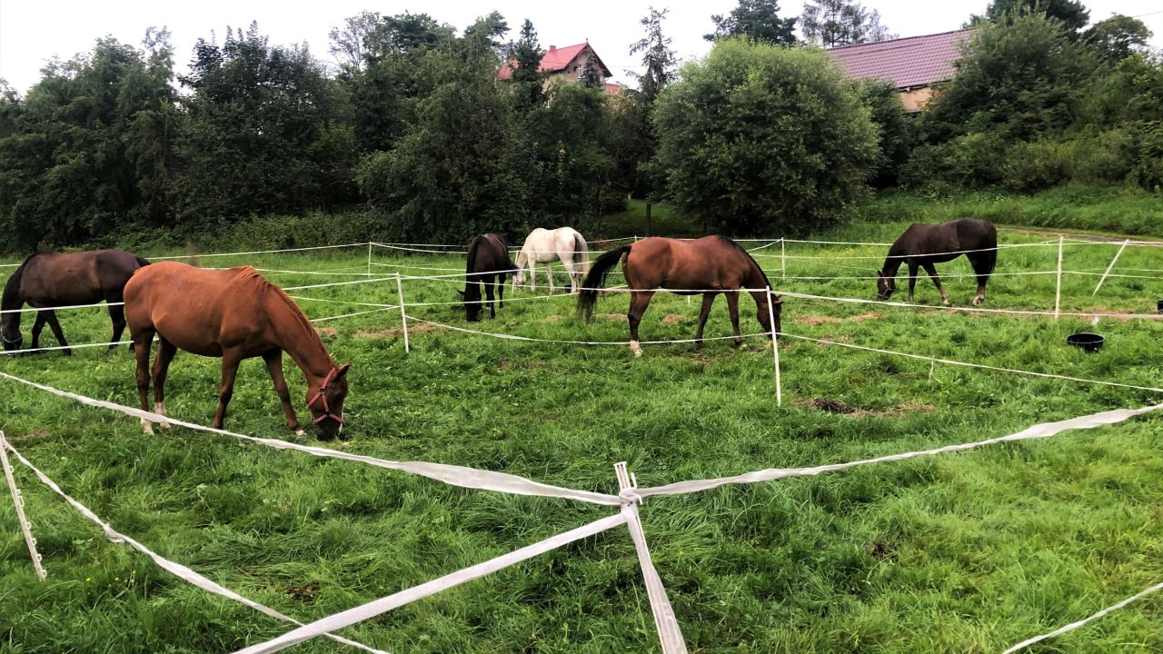 Opolszczyzna Bory Niemodli�skie - m�odzie�owy rajd konny