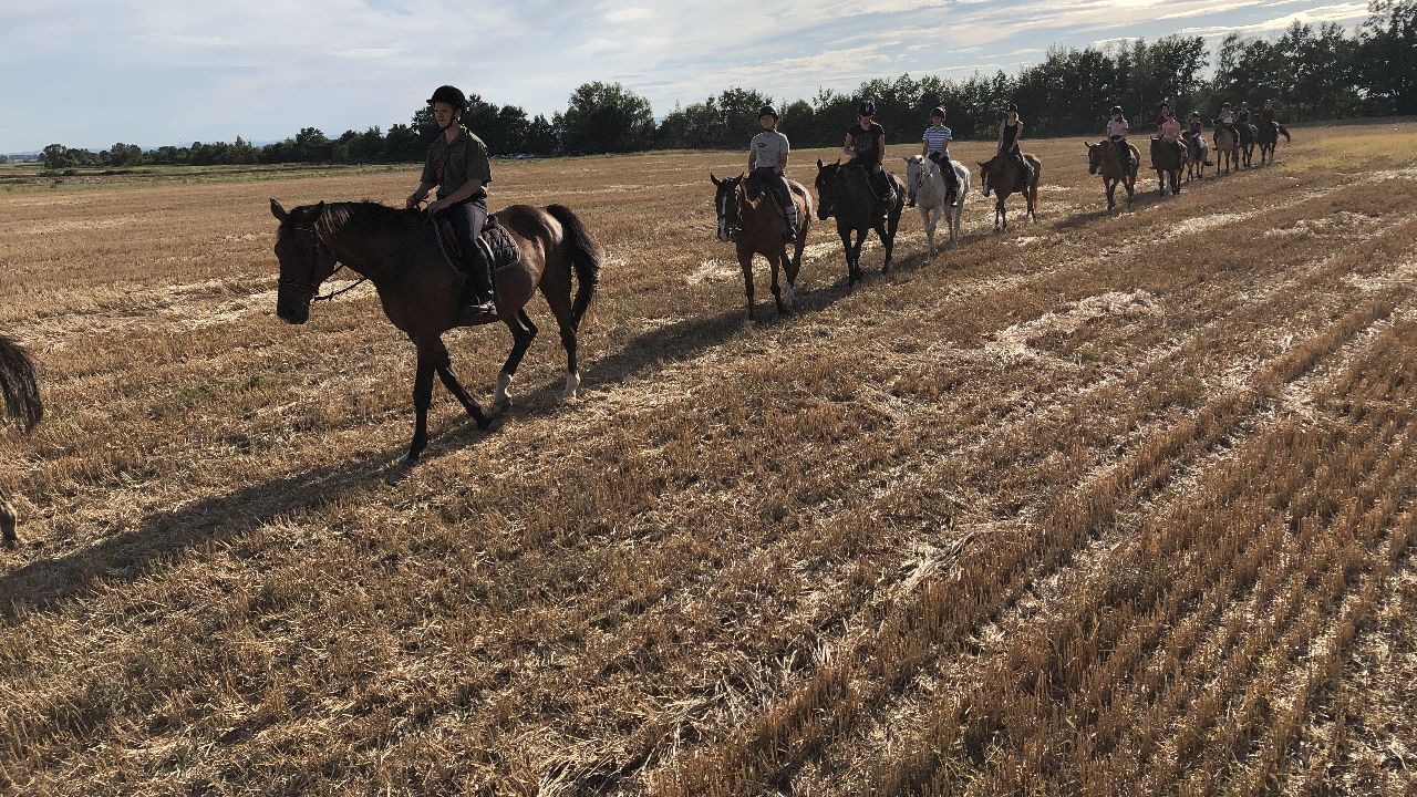 Opolszczyzna Bory Niemodli�skie - studencki rajd konny