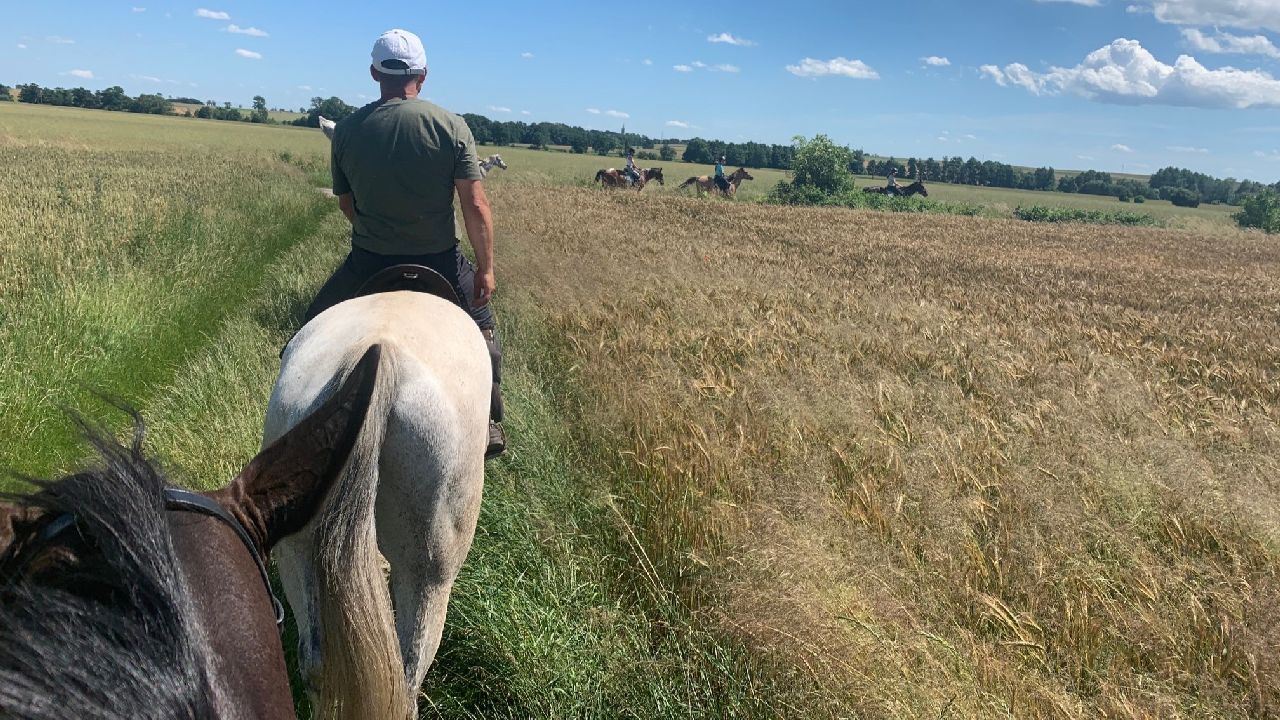 Opolszczyzna Bory Niemodli�skie - studencki rajd konny