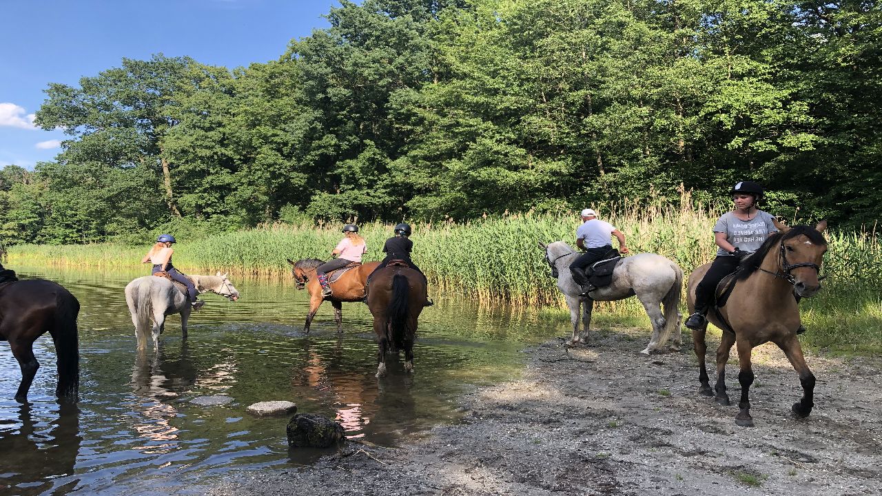 Opolszczyzna Bory Niemodli�skie - studencki rajd konny