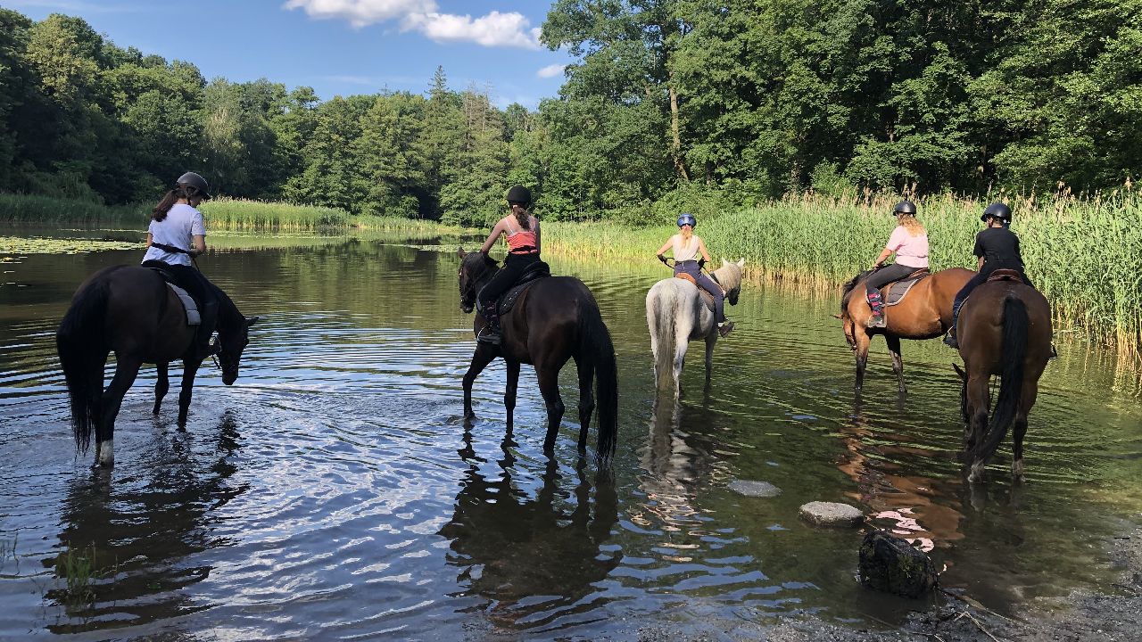 Opolszczyzna Bory Niemodli�skie - studencki rajd konny