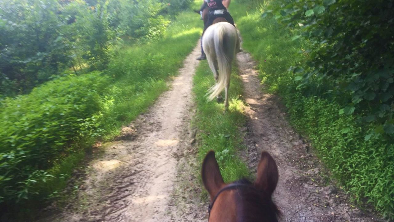 Opolszczyzna Bory Niemodli�skie - studencki rajd konny