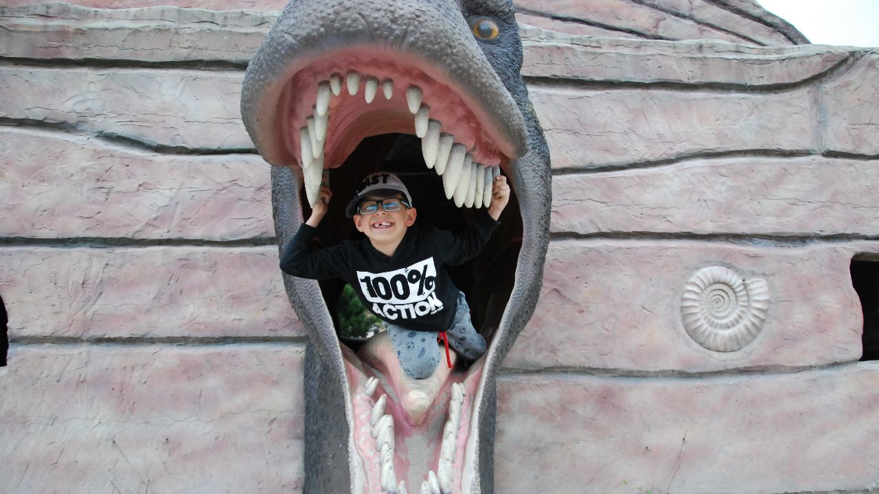 Krasiej�w - ob�z Dino Przygody