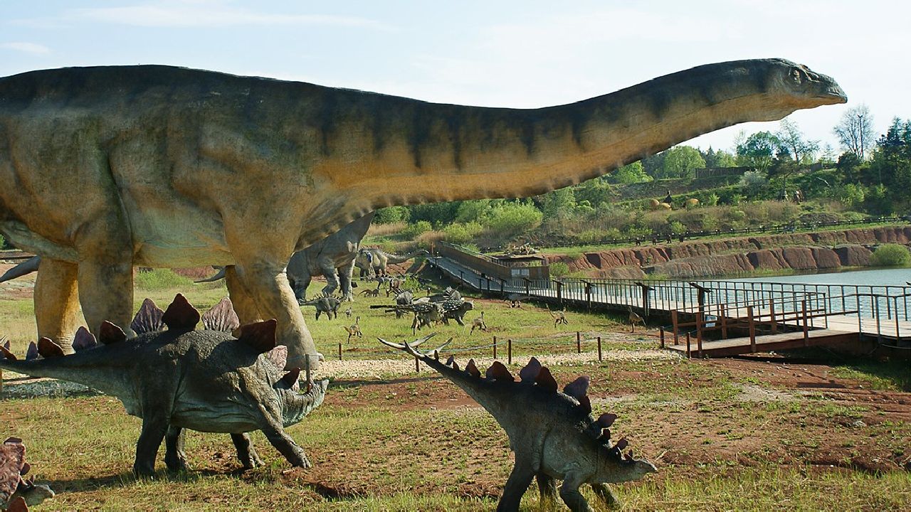 Krasiej�w - ob�z Dino Przygody