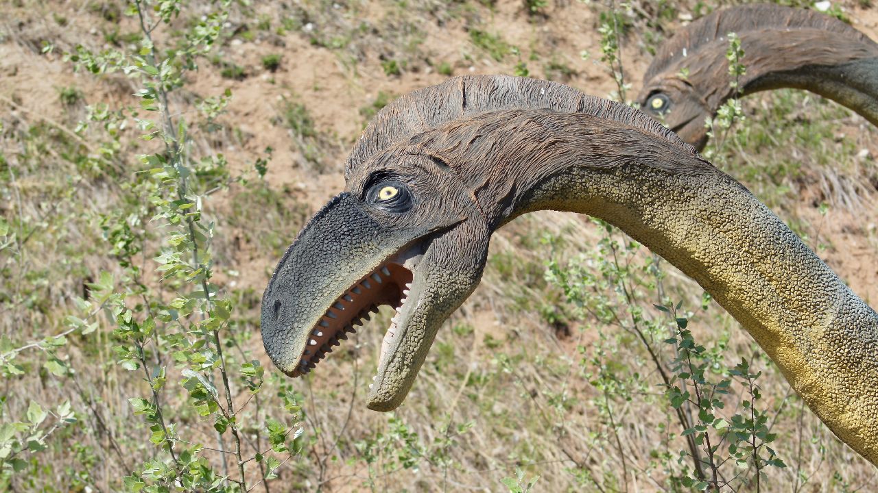 Krasiej�w - ob�z Dino Przygody