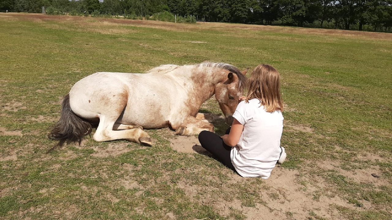 Przysiecz - kolonia rekreacyjna