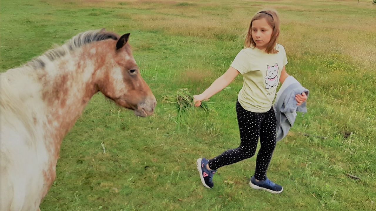 Przysiecz - kolonia rekreacyjna