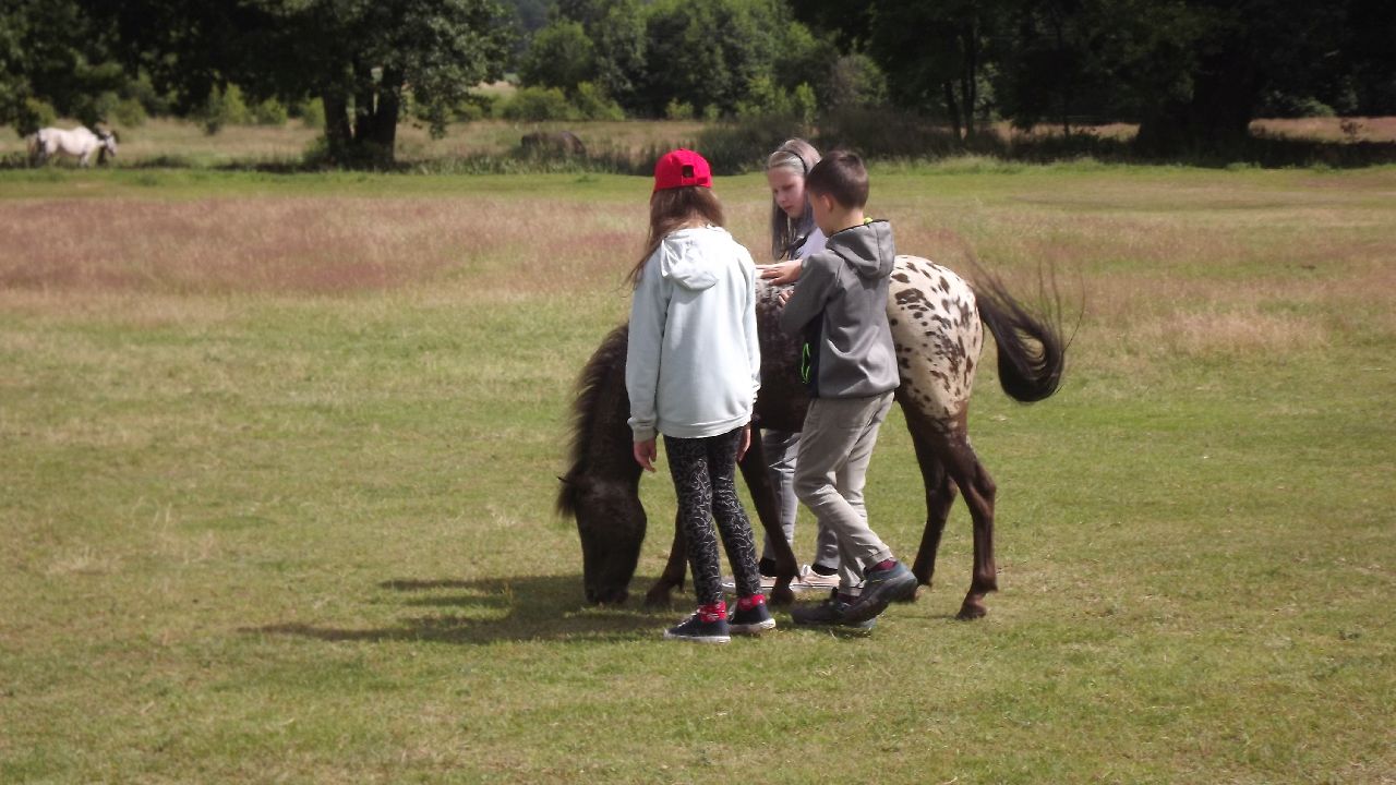 Przysiecz - kolonia ABC jazdy konnej