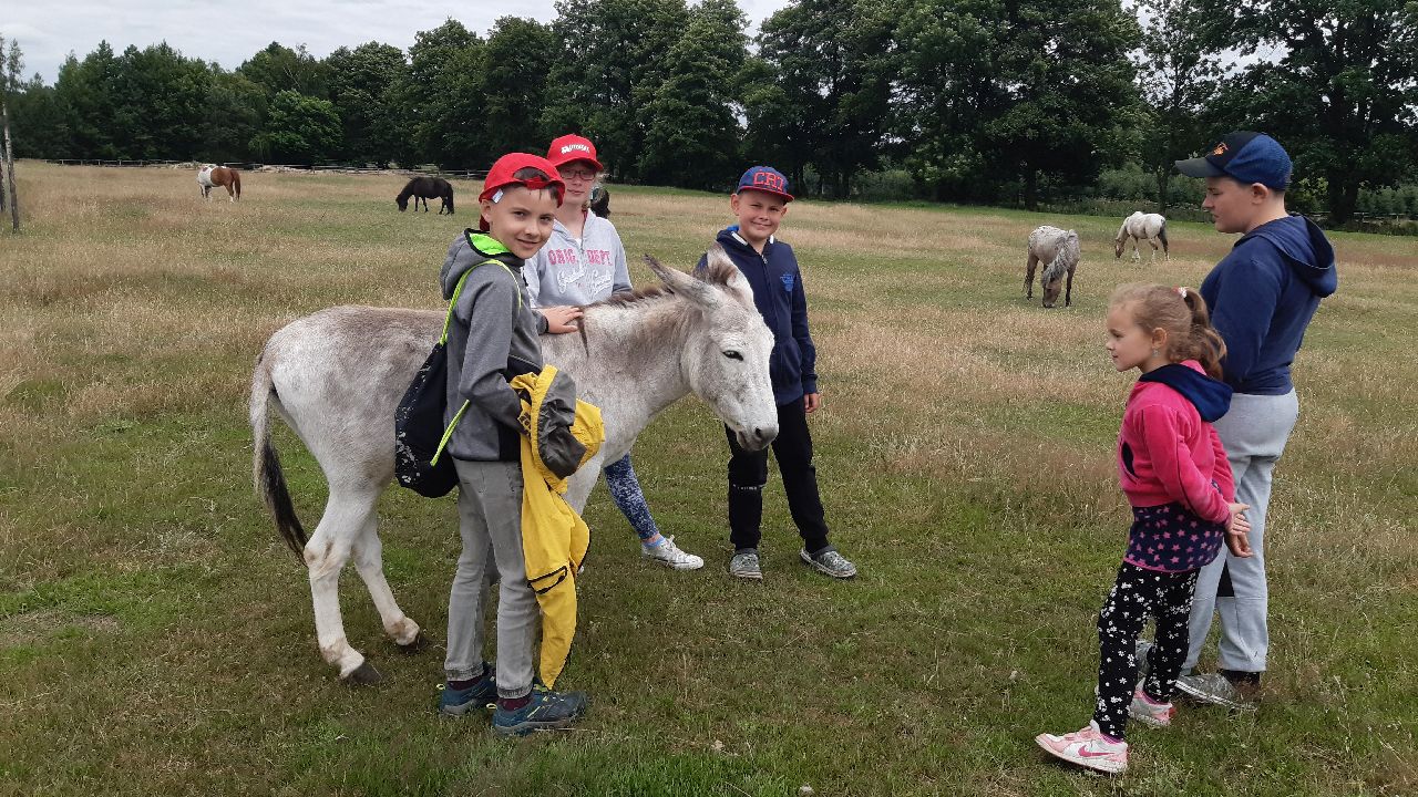 Przysiecz - kolonia plastyczna