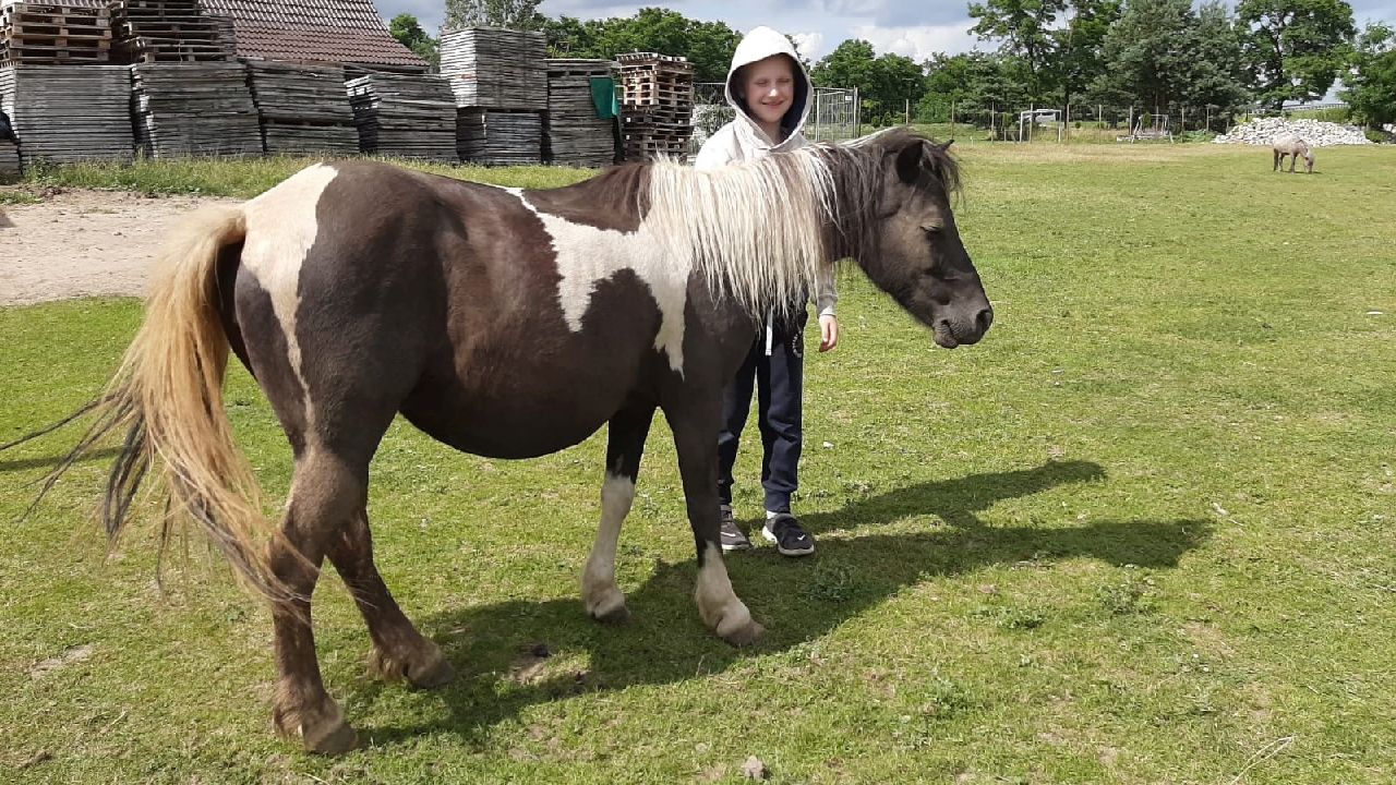 Przysiecz - kolonia plastyczna