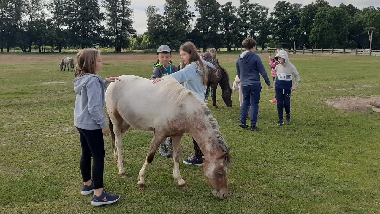 Przysiecz - kolonia plastyczna