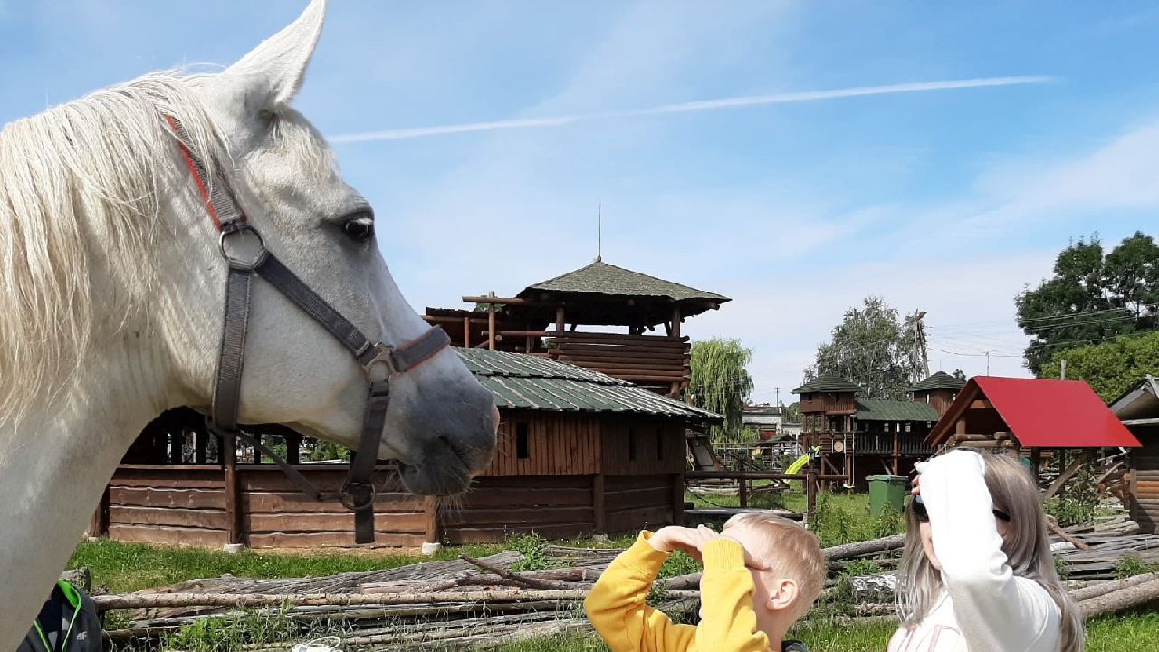 Przysiecz - kolonia plastyczna