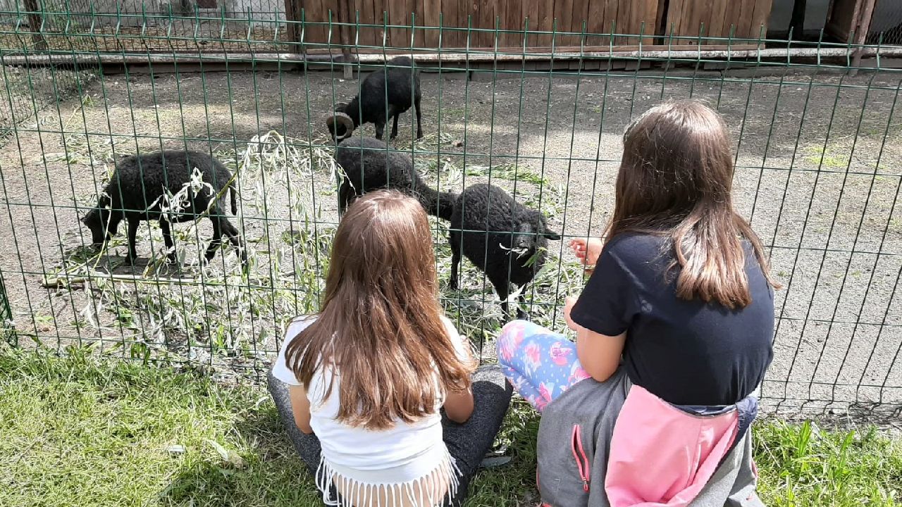 Przysiecz - kolonia plastyczna